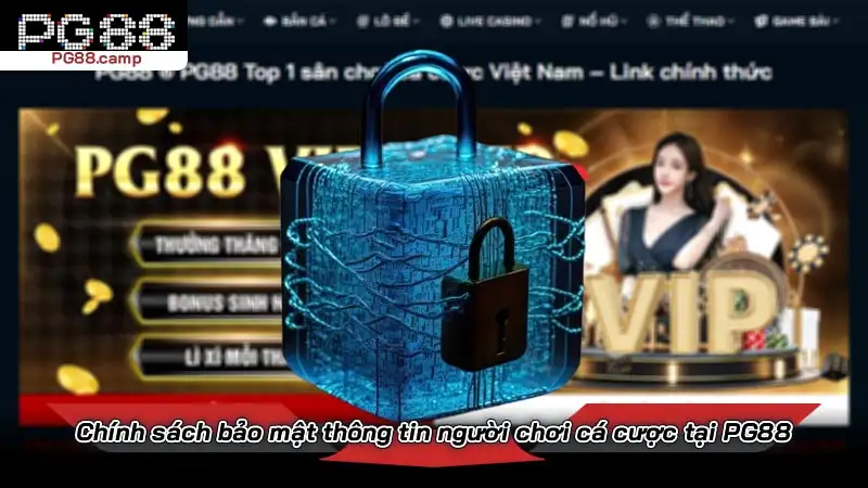 Chính sách bảo mật thông tin người chơi cá cược tại PG88