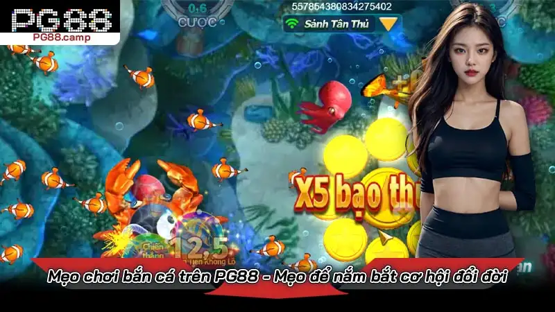 Mẹo chơi bắn cá trên PG88 - Mẹo để nắm bắt cơ hội đổi đời