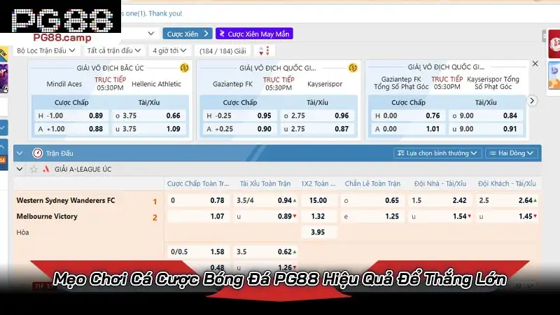 Thể thao PG88 - Sảnh cá độ bóng đá top 1 châu Á tỷ lệ hấp dẫn Mẹo Chơi Cá Cược Bóng Đá PG88 Hiệu Quả Để Thắng Lớn